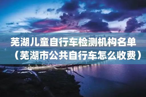 芜湖儿童自行车检测机构名单（芜湖市公共自行车怎么收费）